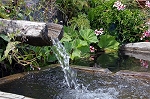 L abreuvoir
