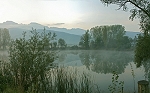 Petit matin