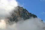 Brouillard