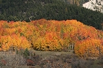 automne en 05