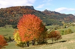 le vallon