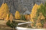 route automne