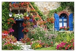 Mon beau jardin