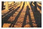 Ombres