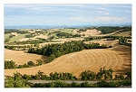 Lauragais 1
