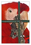 Prison
