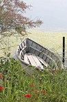 barque 1